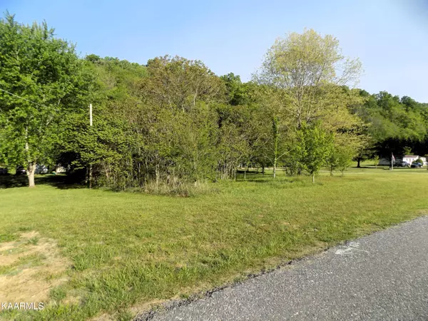 Newport, TN 37821,Lot 5 River Chase Tr