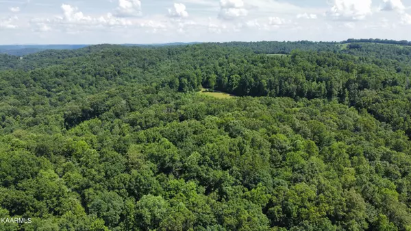 Jacksboro, TN 37757,lot 178 Yoakum Hollow Rd