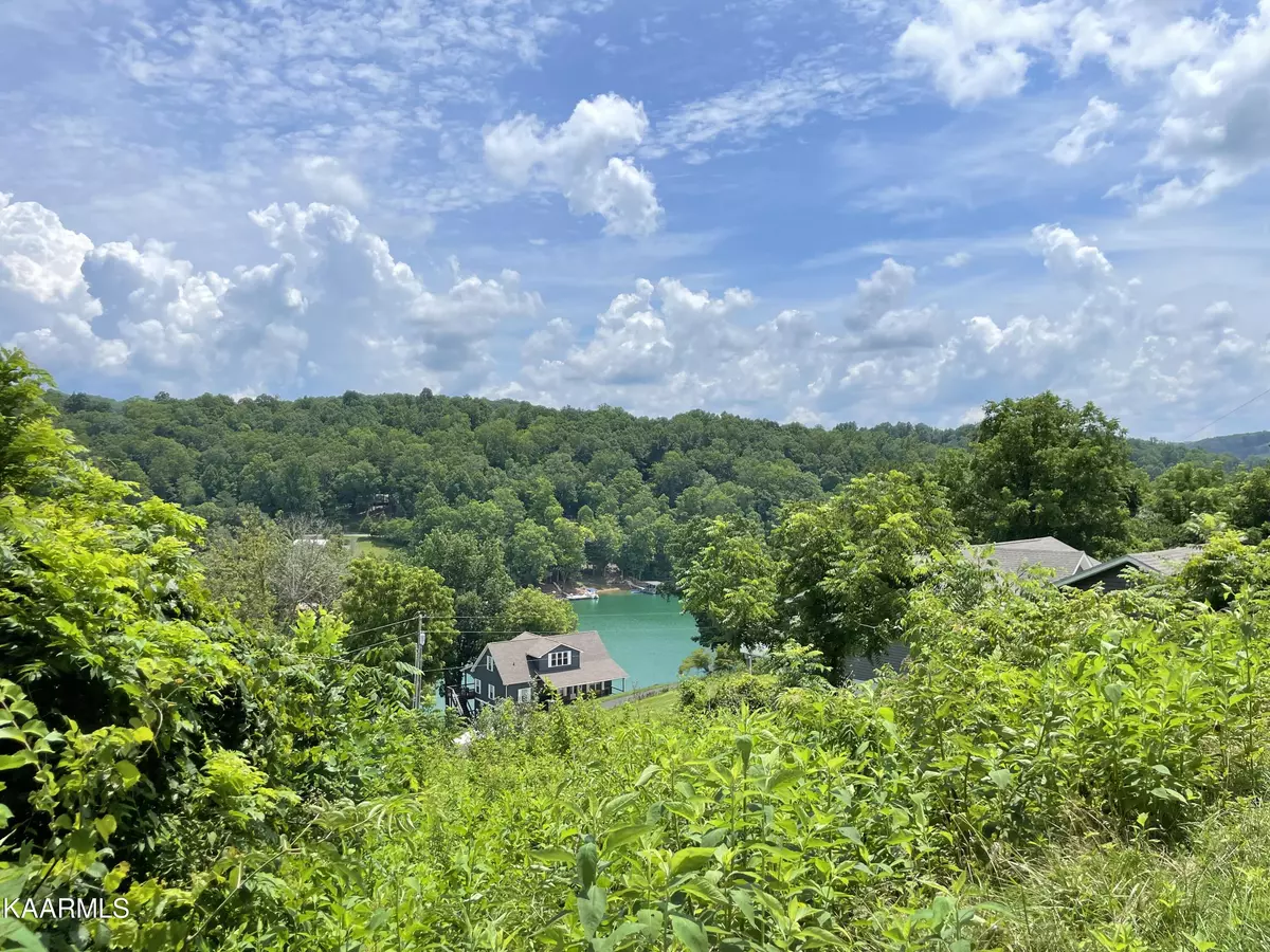 Lafollette, TN 37766,Lake Springs Rd