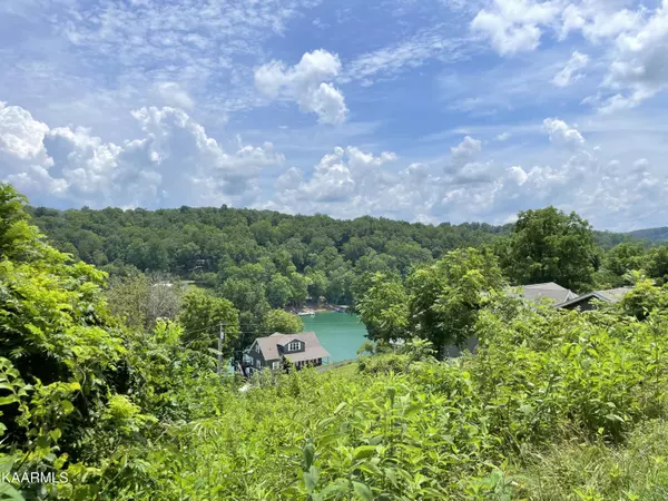 Lake Springs Rd, Lafollette, TN 37766