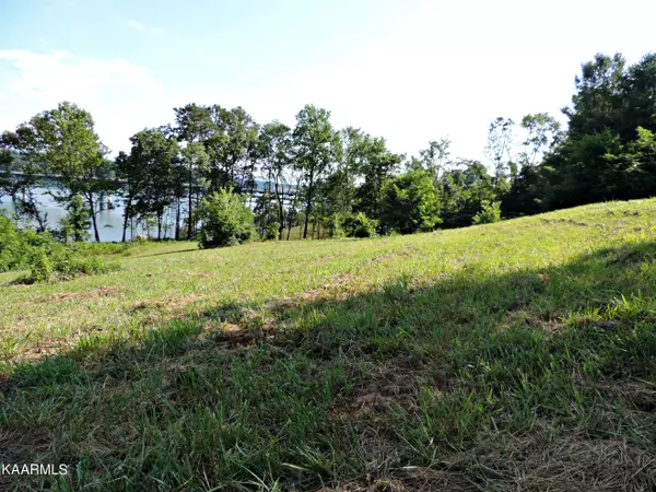 White Pine, TN 37890,Lot 32 Buckhead Trail