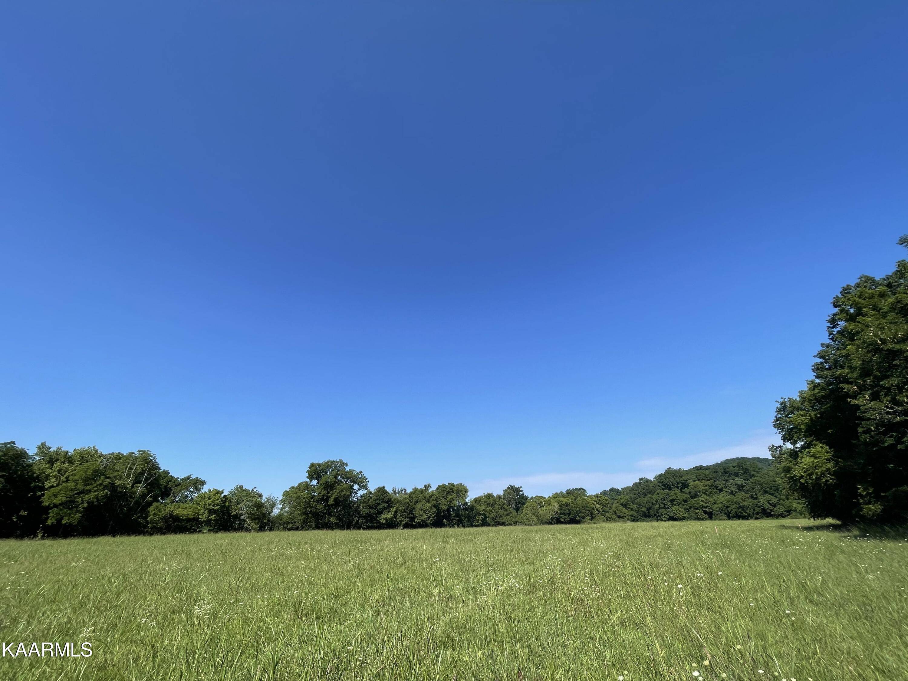 Rockford, TN 37853,Tract 2 Martin Mill (6.537 Acres) PIKE