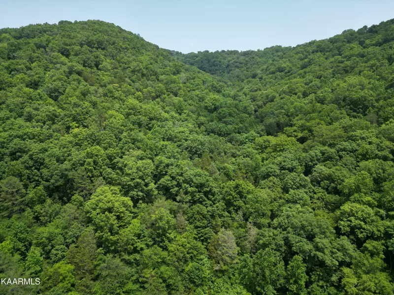 873 Long Hollow Rd, Speedwell, TN 37870