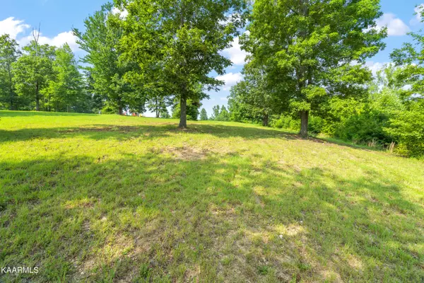 Spring City, TN 37381,475 Rivermyst DR