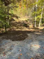 Del Rio, TN 37727,000 HONEY LANE