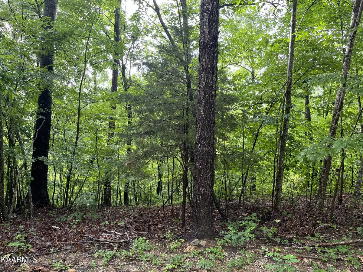 Bloomington Springs, TN 38545,3.64 AC Of Ellison Goolsby LN