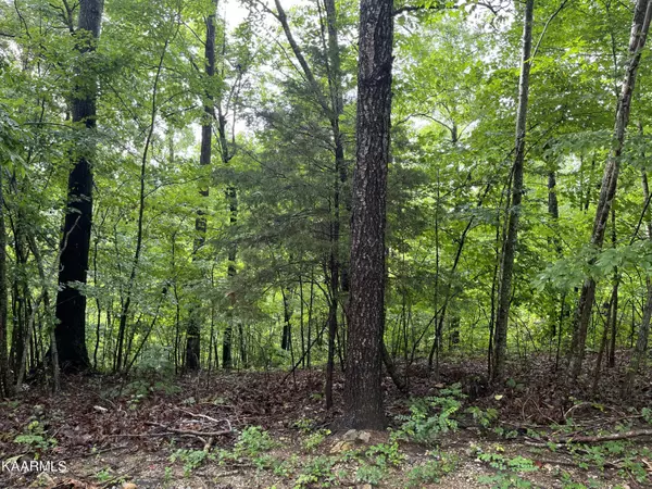 3.64 AC Of Ellison Goolsby LN, Bloomington Springs, TN 38545