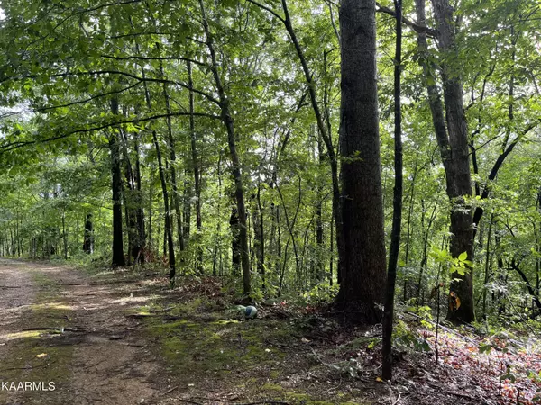 Bloomington Springs, TN 38545,3.64 AC Of Ellison Goolsby LN