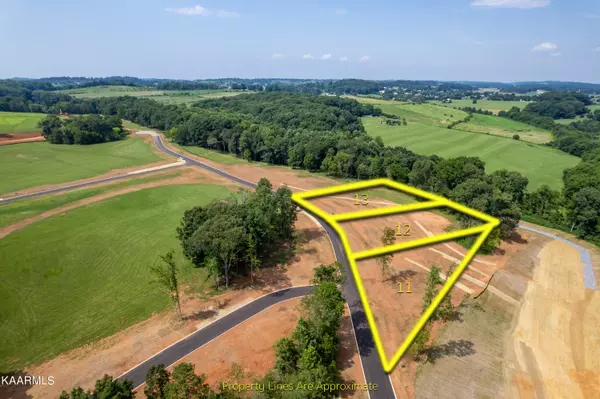 Greenback, TN 37742,Lot11 902 Sophie DR