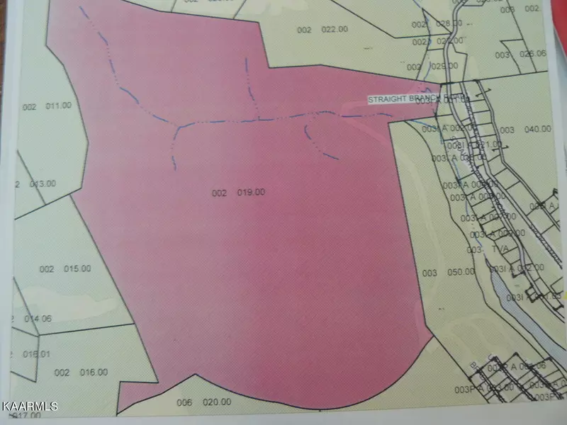 BRADEN CHAPEL Rd, Speedwell, TN 37870