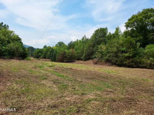 Sneedville, TN 37869,00 Panther Creek Rd