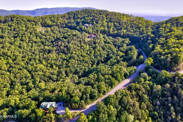 Sevierville, TN 37862,Lot 61E Redtail Rd