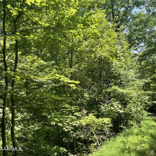 Tellico Plains, TN 37385,Lot 9 Indian Ridge DR