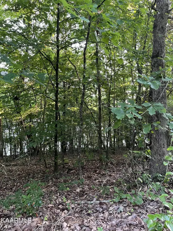 Rockwood, TN 37854,New Hope Rd, Lots 9,10,13