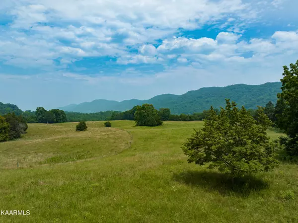 Tazewell, TN 37879,0 River Rd