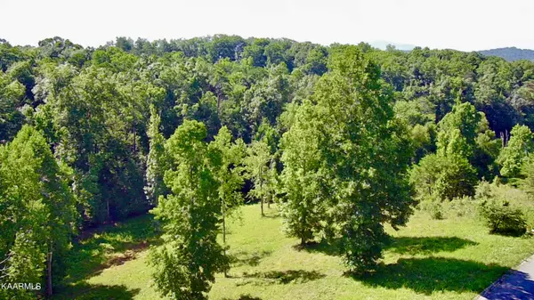 Dandridge, TN 37725,Cypress DR