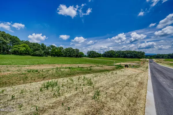 Greenback, TN 37742,Lot16 922 Sophie DR