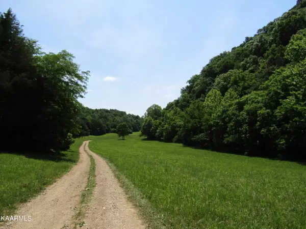 Hestand, KY 42151,260 Poore Hollow Lane