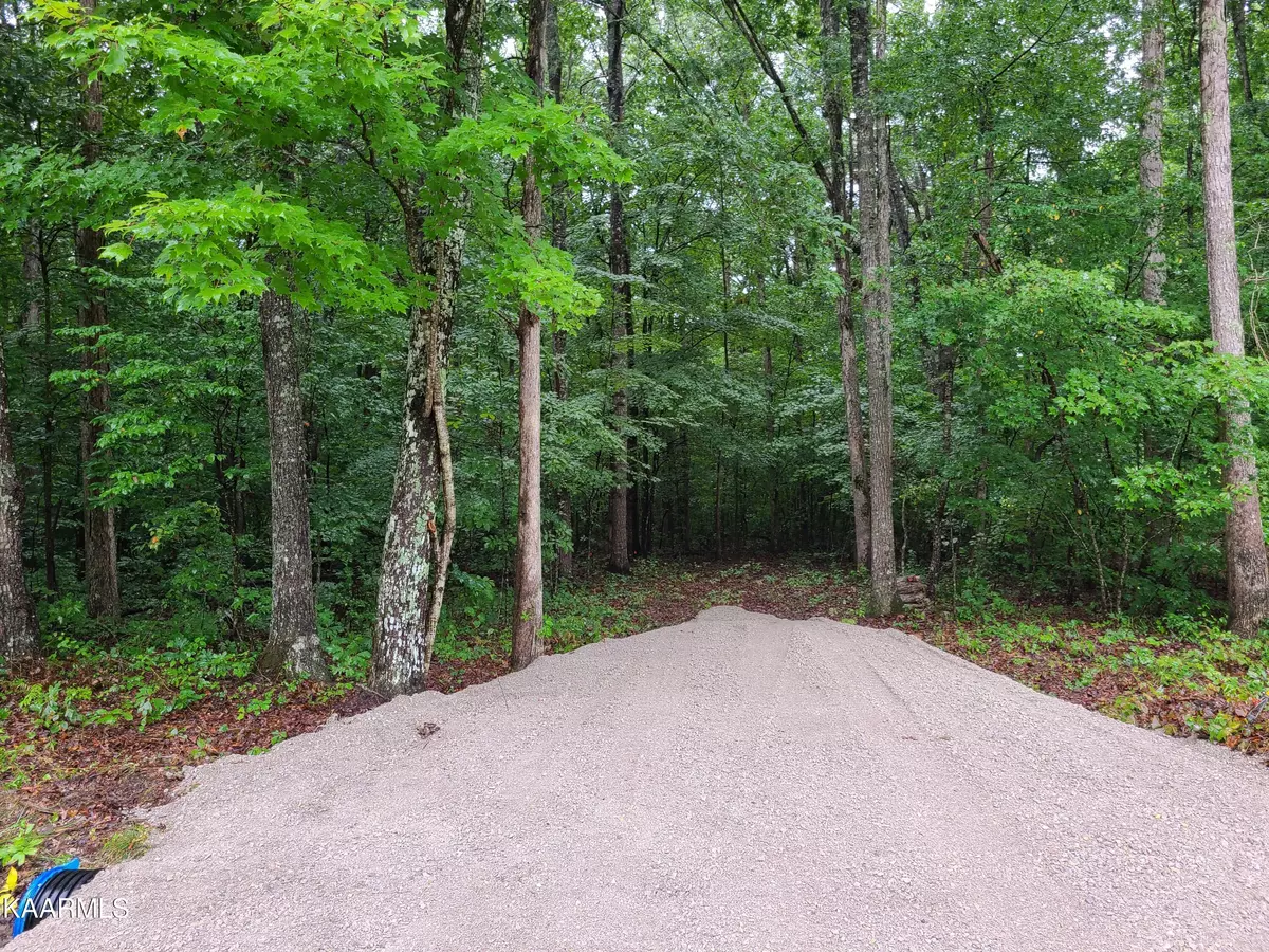 Jamestown, TN 38556,Trimmer Lane Lot # 12 LN