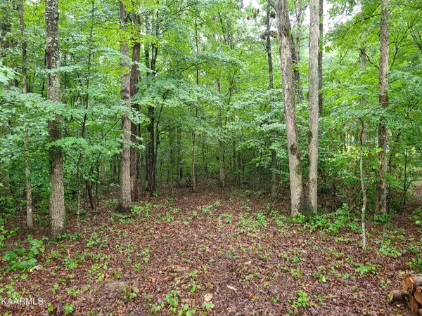 Jamestown, TN 38556,Trimmer Lane Lot # 12 LN