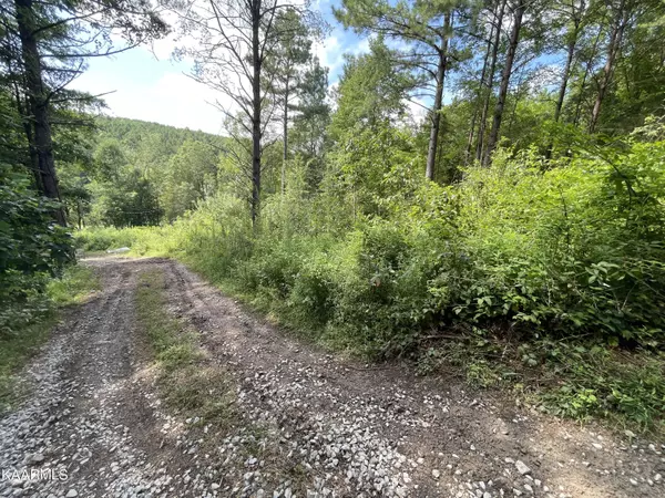 5198 Clay Hollow Rd, Sweetwater, TN 37874