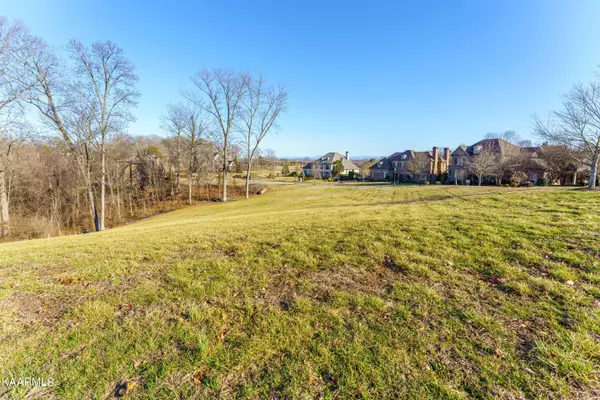 Knoxville, TN 37934,808 Hammock Lane Lot 100