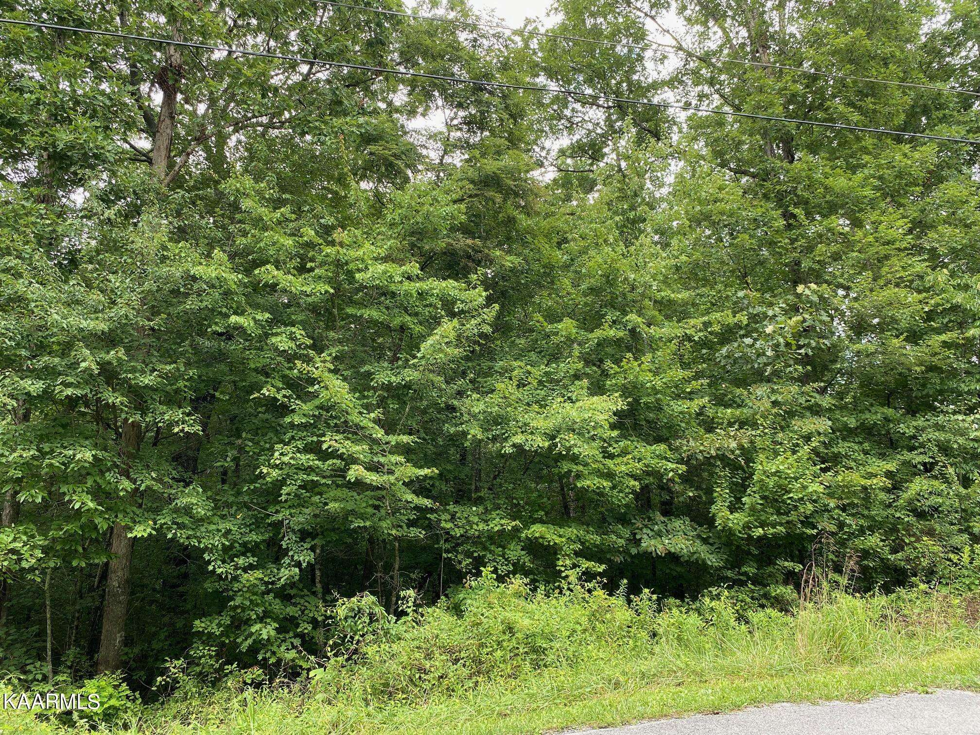Will Wyatt CT,  Crossville,  TN 38572