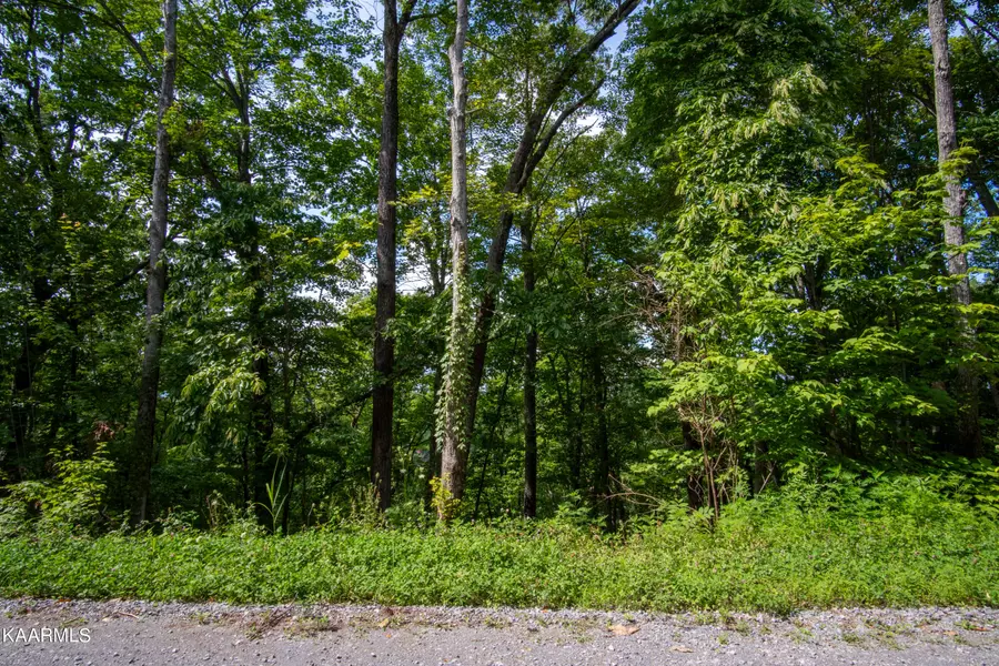 Dogwood LN, Sevierville, TN 37876