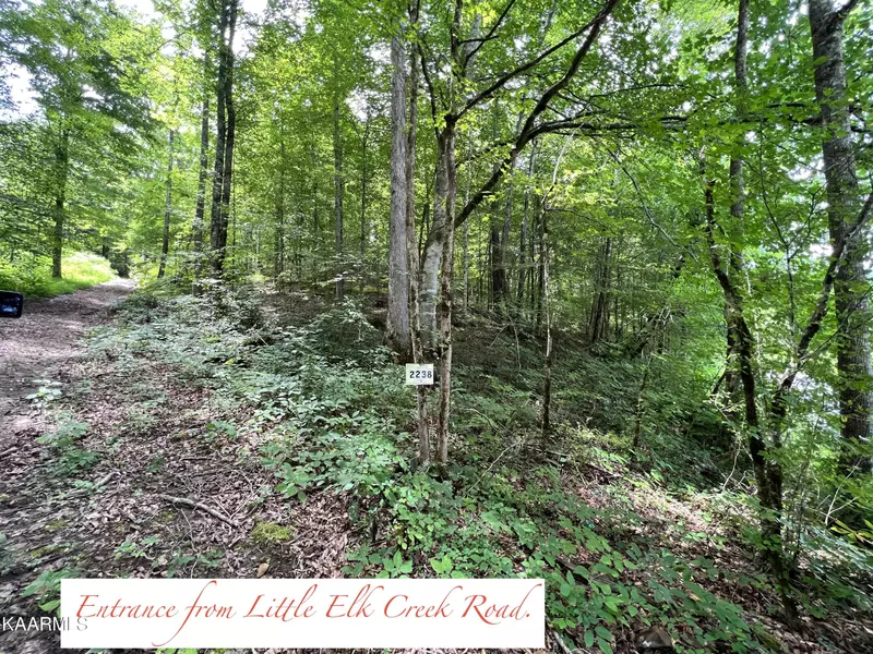 2238 Little Elk Creek Rd, Pioneer, TN 37847