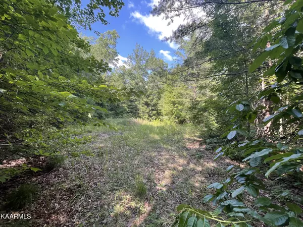 56ac Highway 68, Tellico Plains, TN 37385