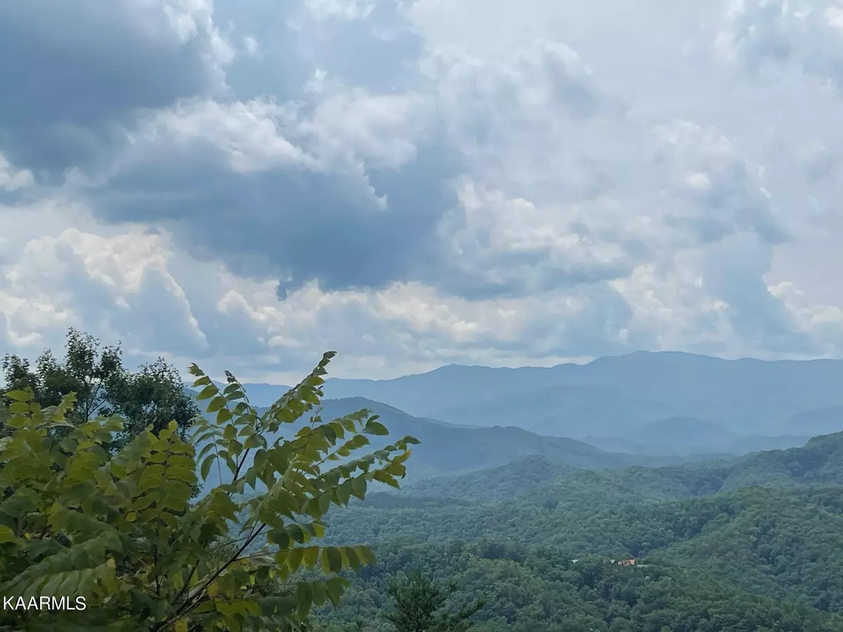 Sevierville, TN 37862,Lot 104E Settlers View LN