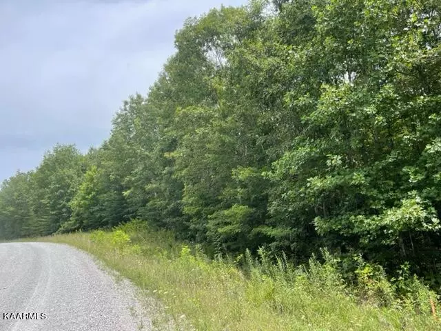 Wilder, TN 38589,5.68ac Big Piney LOOP