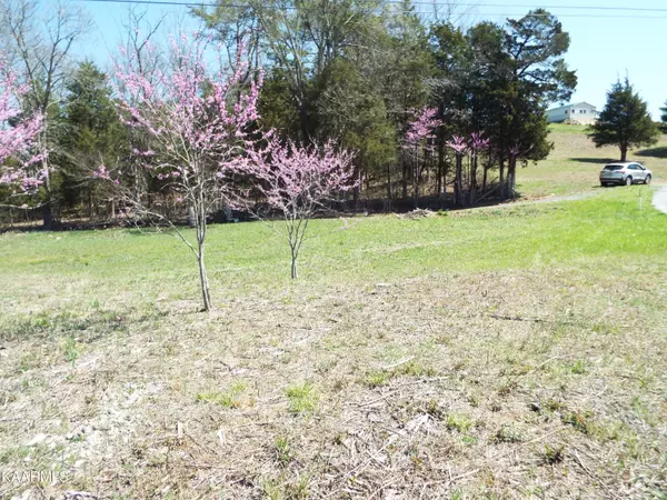 Thorn Hill, TN 37881,310 Southern Choice Trail