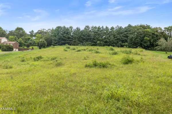 White Pine, TN 37890,608 Cornfield LN