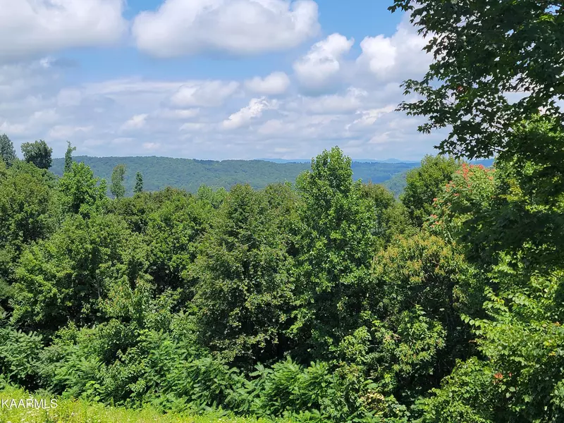 Lot 175 Eagles Cove Pkwy, Maynardville, TN 37807