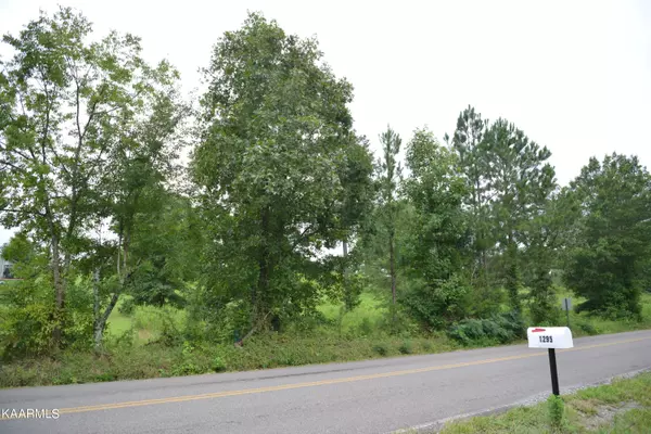 Evensville, TN 37332,Lot 8 White Flats Rd