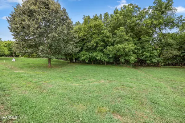 Vonore, TN 37885,Lot 12 Niwodihi Tr