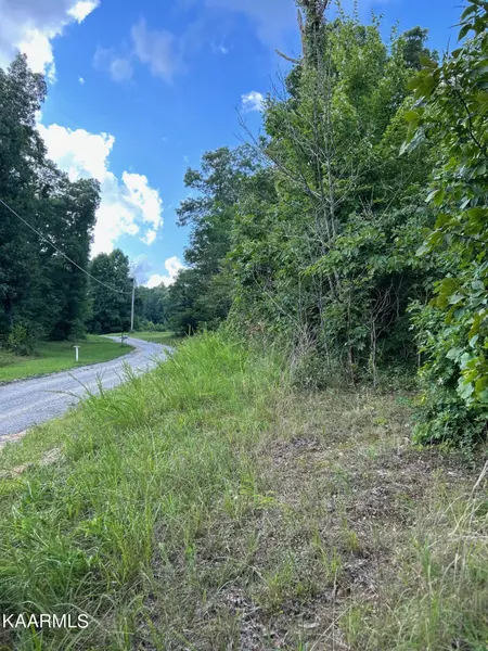 16+ Acres Raccoon Ridge, Spring City, TN 37381