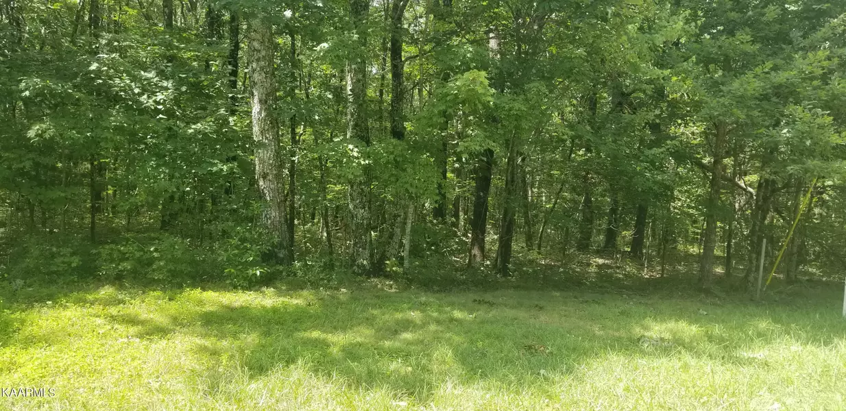 0 Lou Rd, Pikeville, TN 37367