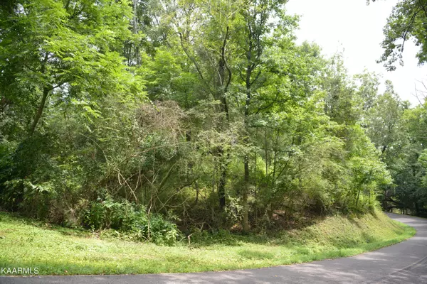 Dayton, TN 37321,Lot 28 Park DR