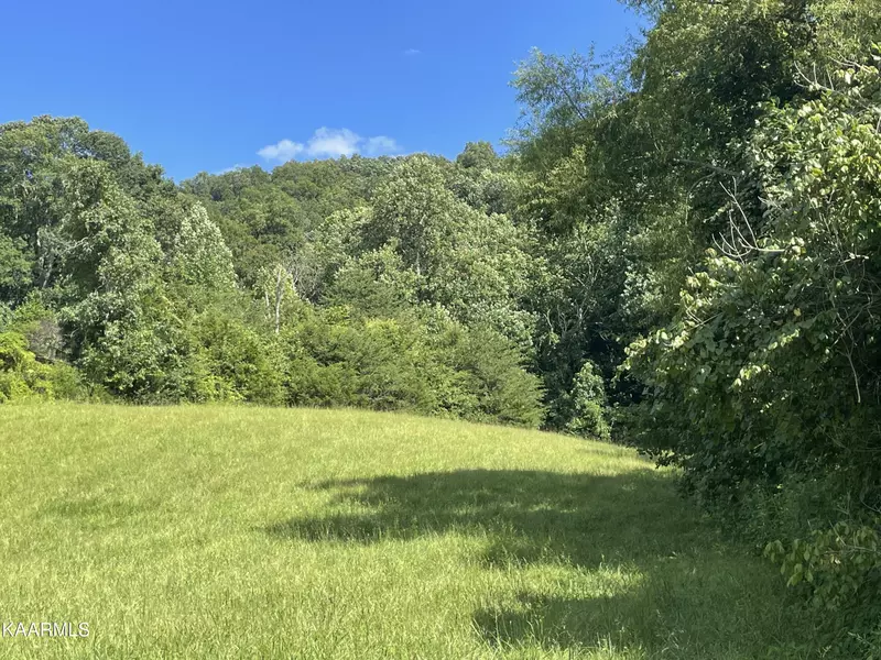 Lot 165R Russell Brothers Rd, Sharps Chapel, TN 37866