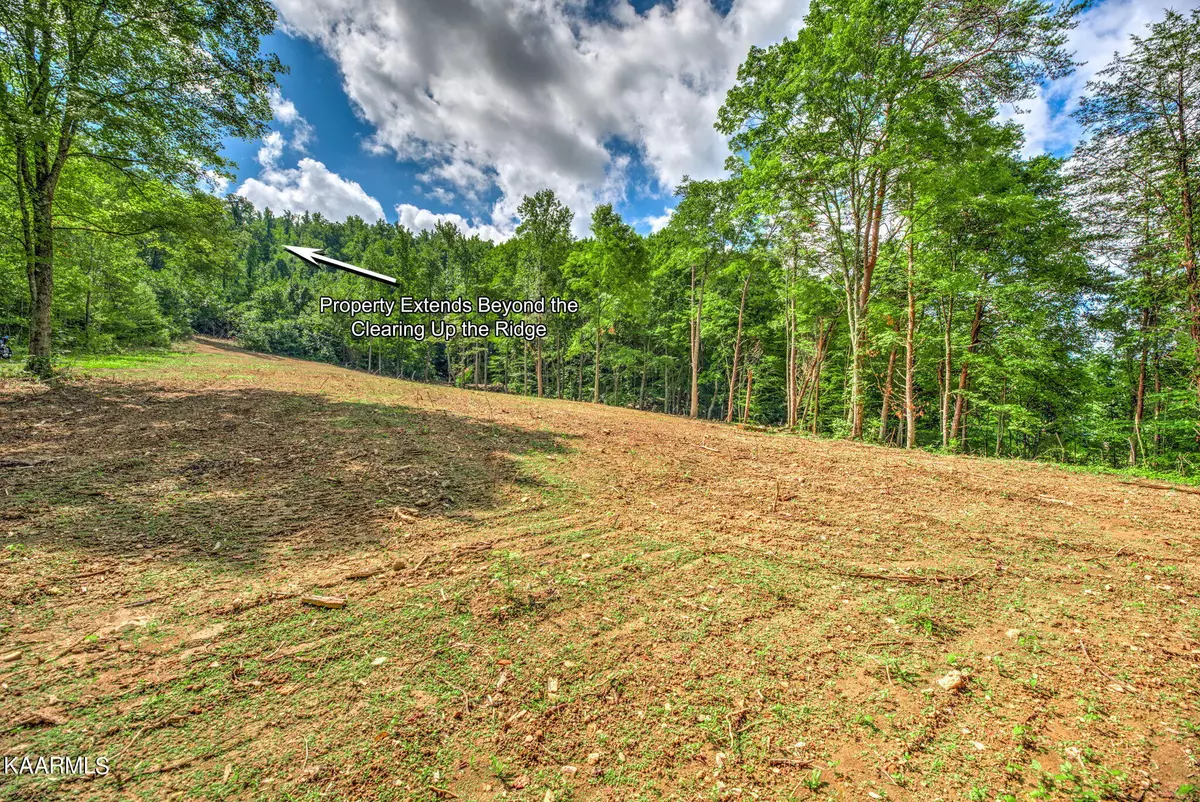 Washburn, TN 37888,0 Merritt Rd