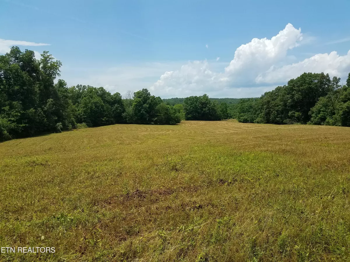 Crab Orchard, TN 37723,Hebbertsburg Rd