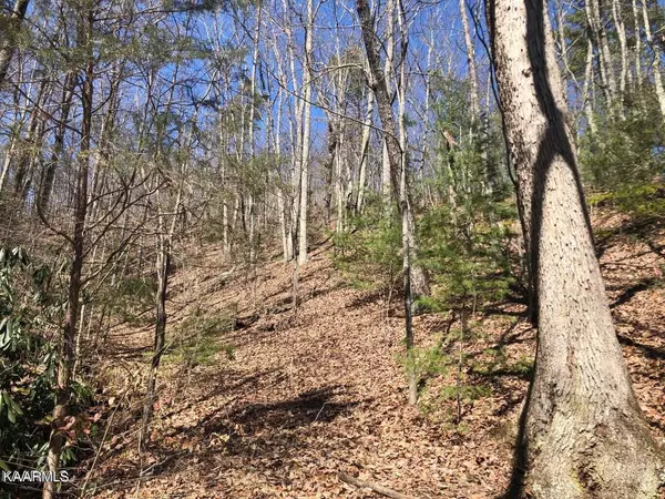 Sevierville, TN 37876,Lot 18 Alpine DR