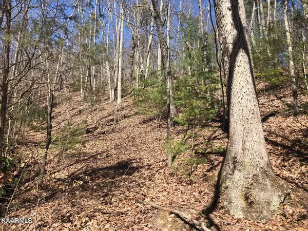 Sevierville, TN 37876,Lot 18 Alpine DR