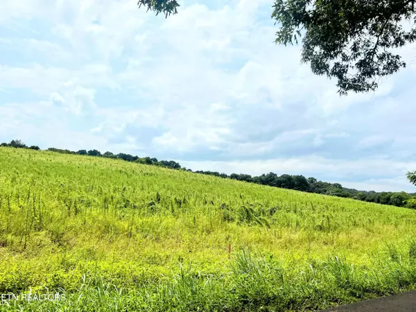 Lot 14 Gravelly Hills Rd, Louisville, TN 37777