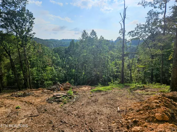 Andersonville, TN 37705,Brewer Lane Lot 1