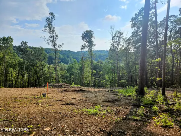 Brewer Lane Lot 1, Andersonville, TN 37705