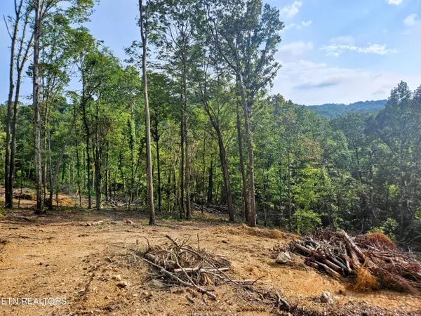 Andersonville, TN 37705,Brewer Lane Lot 2