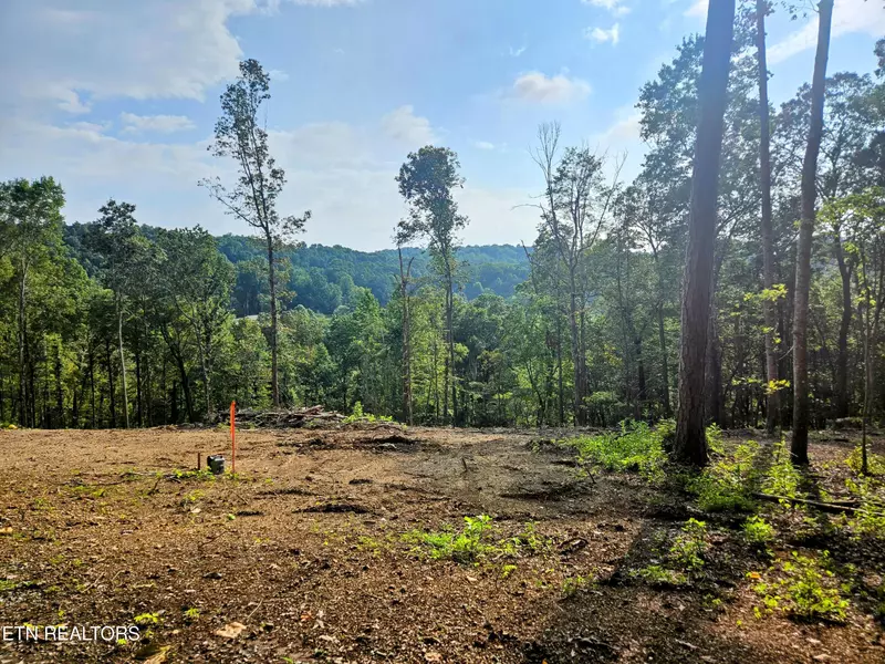 Brewer Lane Lot 5, Andersonville, TN 37705